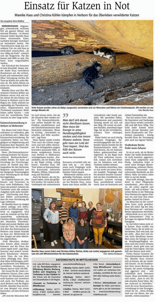 Ein Zeitungsausschnitt, der die Tätigkeiten der Initiative Katzenschutz Lahn-Dill beschreibt. 