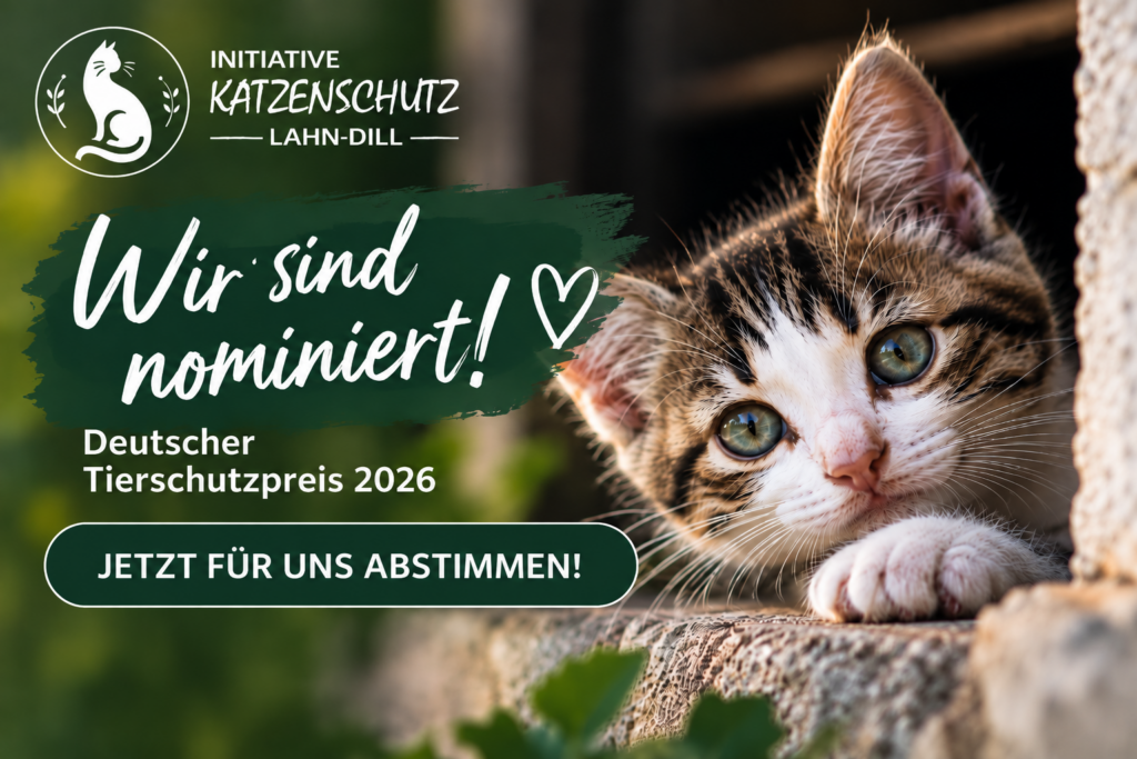 der publikumspreis des deutschen tierschutzpreises